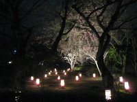 京都　東山　花灯路