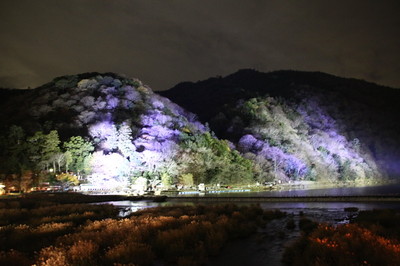 京都　嵐山花灯路