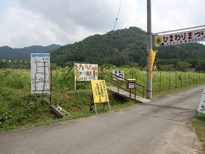 ひまわり園　迷路